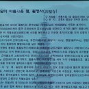 오대산서울 이미지