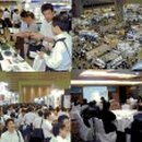 엔젤태양광발전소 이미지