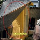 강정동-39 이미지