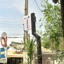 경주 황리단길 초밥 스시 맛집 참치향 내돈내산 후기