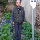 서울이용소 이미지