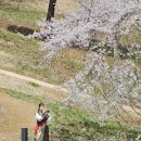 고분도리협동조합 | <고령군 생활인구 페스티벌> 참가 짧은 후기