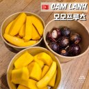 나트랑 깜란 과일 도시락 모모프루츠 리조트 배달 안되는 곳 포장 후기