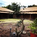 성읍환승정류장 이미지