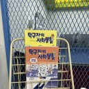 통통통탁구 | 상도 실내 무인 탁구장 "통통통탁구" | 이색 데이트, 실내 데이트, 운동 데이트 추천