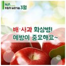 "화상병" 지금이 예방 적기 이미지