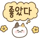 티플러스테니스