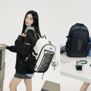 이서 데일리안