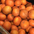 나현농장 이미지