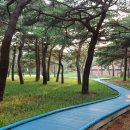 조산 이미지