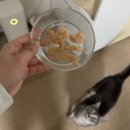 한국화(주간) | 설날이 끝났음을 믿지못하는 주간일기..