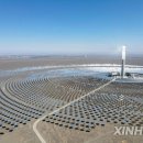 신화 태양광발전소 이미지