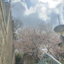 구포3동-11 | [국내 등산]부산 백양산 등산(?);;;왜 이제서야 가봤을까ㅋ