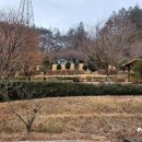 신흥농장 이미지