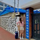 어락게스트하우스 | [캡틴제주게스트하우스/어락게스트하우스/미도호스텔/청춘여관/해나게스트하우스] 제주도 5박 6일 숙박...