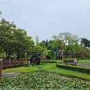 조영제행정사 이미지