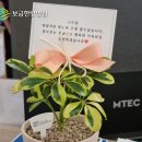 (유)보금