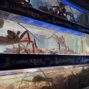 (주)아이템나라 이미지