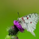 의정부정보도서관 이미지