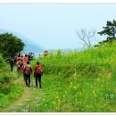 하화도 꽃섬길 이미지