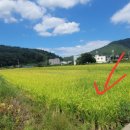 주삼동 주민센터 이미지