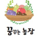 꿈꾸는농장 이미지