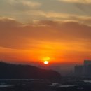 카페보란