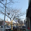 서북로 | [전남 광양] 광양읍 베이커리카페 옥순다방｜여러 번 찾은 재방문 후기