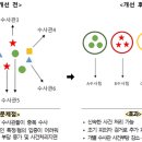 건수사