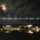 으뜸50안경 약수점 이미지