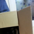 감자와 맛동산 이미지