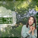 The힐링헤어 이미지