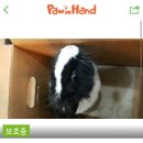 중사지농장 이미지