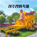 그늘막110 | 2025성주참외축제 아이와 방문 후기 에그박사 경북청년예술촌