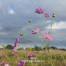 자연동산 이미지