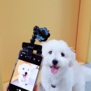 미야팜스토어