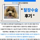 해뜨는 동물병원 이미지
