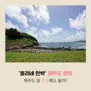 지인민박 이미지