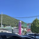 청과식당 | 부산 엄궁 농산물도매시장 부산청과 과일 주차 방문후기