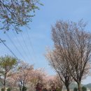 오촌리마을회관(오촌리) | 양평 걷기좋은 길 물소리길6코스 용문산은행나무길