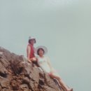 감포횟집 이미지