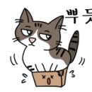 심쿵하냥 이미지