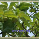 꽃초롱어린이집 이미지