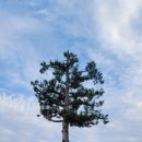 월악로농장 이미지