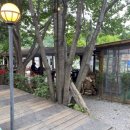 춘천별당 이미지