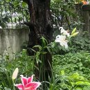 광덕한의원 이미지