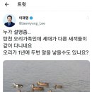 당원비 1000원해도 돼 학생캔디들은 절대 무리하지마 이미지