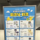 리치플러스마케팅 | 올리브영 포켓몬 콜라보 실화야…? 성수에서 조기 종료까지 난리 난 피크닉 위크 올리브영 범계점 후기🎒⚡