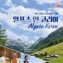 인코리아 이미지
