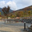 (주)스노우라인캠핑빌리지 이미지